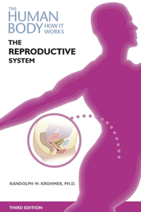 The Reproductive System