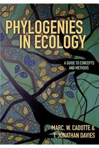 Phylogenies in Ecology