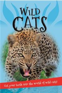It's All About... Wild Cats
