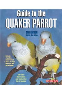 Guide to Quaker Parrot