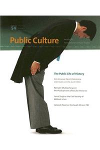 Public Culture