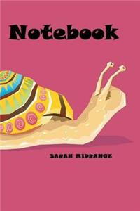 Notebook (slow)