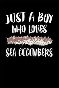 Just A Boy Who Loves Sea Cucumbers