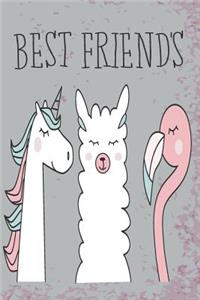 Unicorn, Llama, Flamingo Best of Friends Mid Year Academic Planner For Teachers, Students & Parents