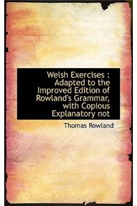 Welsh Exercises: Adapted to the Improved Edition of Rowland's Grammar, with Copious Explanatory Not