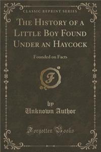 The History of a Little Boy Found Under an Haycock