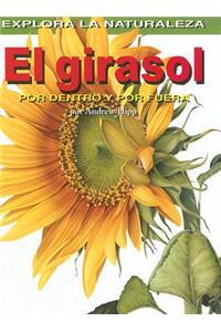 Girasol: Por Dentro Y Por Fuera (Sunflower: Inside and Out)