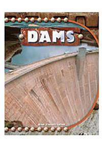 Rigby Focus Forward: (Group 2, Set A) Dams