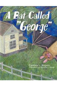 A Bat Called 