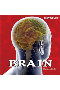 Brain