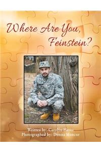 Where Are You, Feinstein?