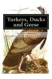 Turkeys, Ducks and Geese