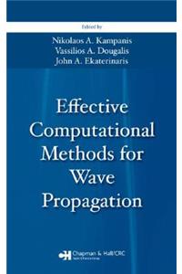 Effective Computational Methods for Wave Propagation