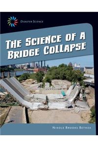 Science of a Bridge Collapse