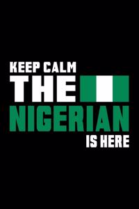 Nigeria Flaggen Notizbuch
