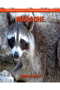 Mapache