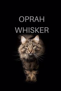 Oprah Whisker