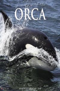Orcas 2018 Wall Calendar