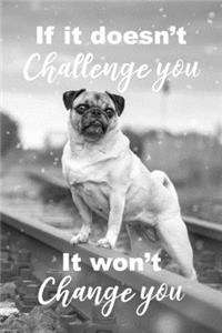 If It Doesn't Challenge You It Won't Change You