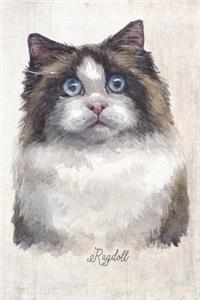 Ragdoll Cat Portrait Notebook