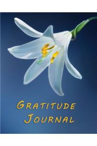 Gratitude Journal