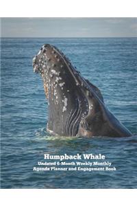 Humpback Whale Undated 6-Month Weekly Monthly Agenda Planner and Engagement Book
