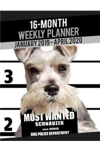 2019-2020 Weekly Planner - Most Wanted Schnauzer