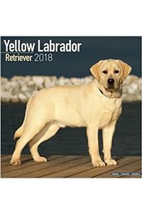 Yellow Labrador Retriever Calendar 2018