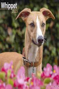 Whippet 2023 Wall Calendar