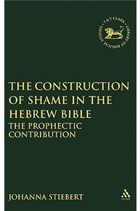 Construction of Shame in the Hebrew Bible