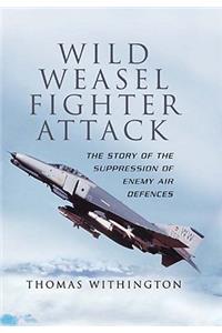 Wild Weasel Fighter Attack