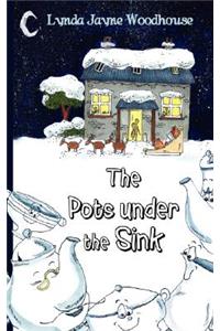 Pots Under the Sink