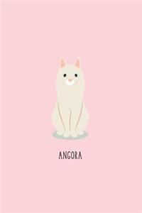Angora Cat