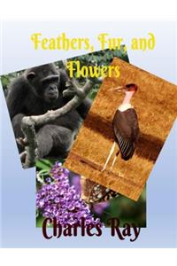 Feathers, Fur, and Flowers