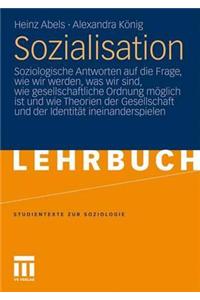 Sozialisation: Soziologische Antworten Auf Die Frage, Wie Wir Werden, Was Wir Sind, Wie Gesellschaftliche Ordnung Moglich Ist Und Wie Theorien Der Gesellschaft Und Der Identitat Ineinanderspielen