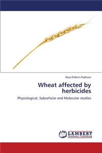 Wheat Affected by Herbicides