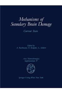 Mechanisms of Secondary Brain Damage: Current State