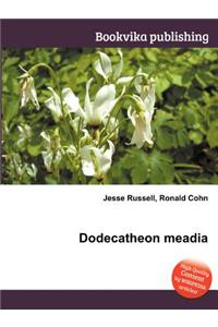 Dodecatheon Meadia