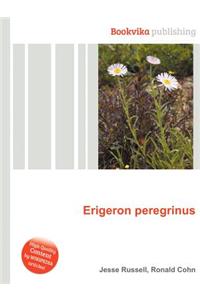 Erigeron Peregrinus