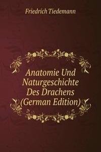 Anatomie Und Naturgeschichte Des Drachens (German Edition)