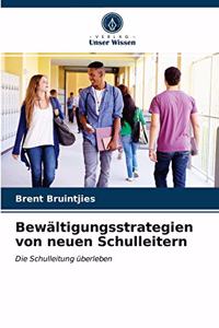 Bewältigungsstrategien von neuen Schulleitern