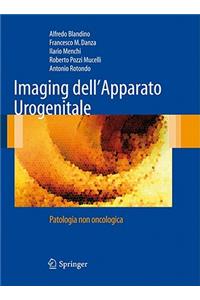 Imaging Dell'apparato Urogenitale