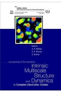 Intrinsic Multiscale Structure and Dynamics in Complex Electronic Oxides, Proceedings of the Workshop