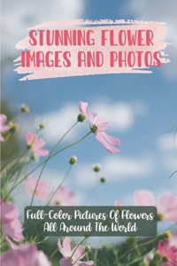 Stunning Flower Images And Photos