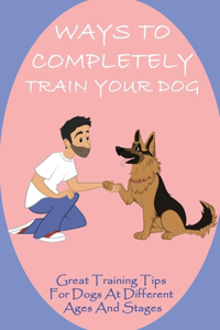 Ways To Completely Train Your Dog