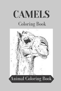Camels Coloring Book