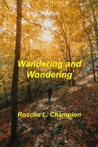 Wandering and Wondering