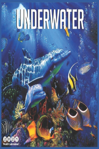 Underwater 2021 Wall Calendar