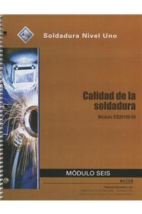 ES29106-09 Weld Quality Trainee Guide in Spanish