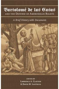 Bartolomé de Las Casas and the Defense of Amerindian Rights